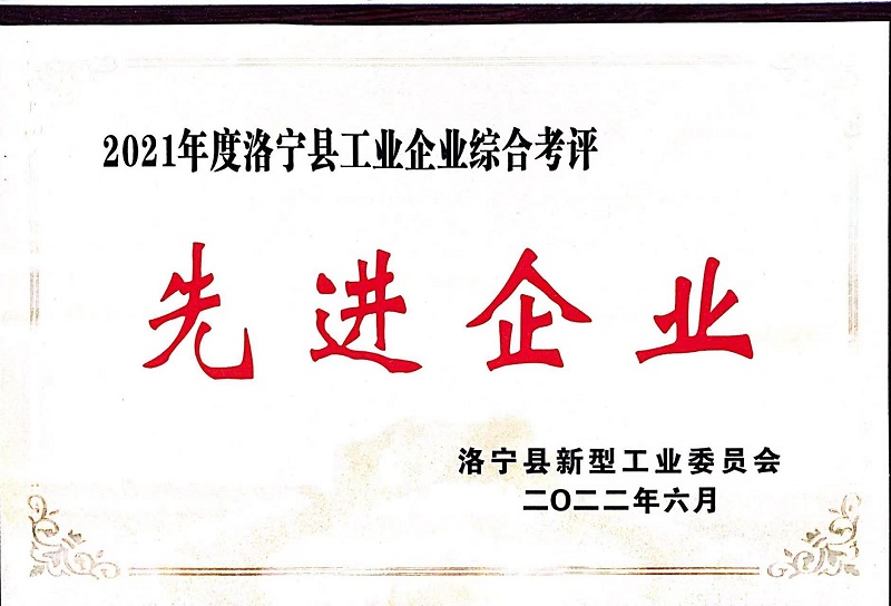 2021年度洛寧縣工業(yè)企業(yè)綜合考評(píng)先 進(jìn)企業(yè)